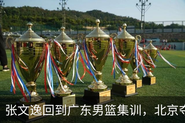 张文逸回到广东男篮集训，北京夺冠功勋确定退役，上海欲续约弗格